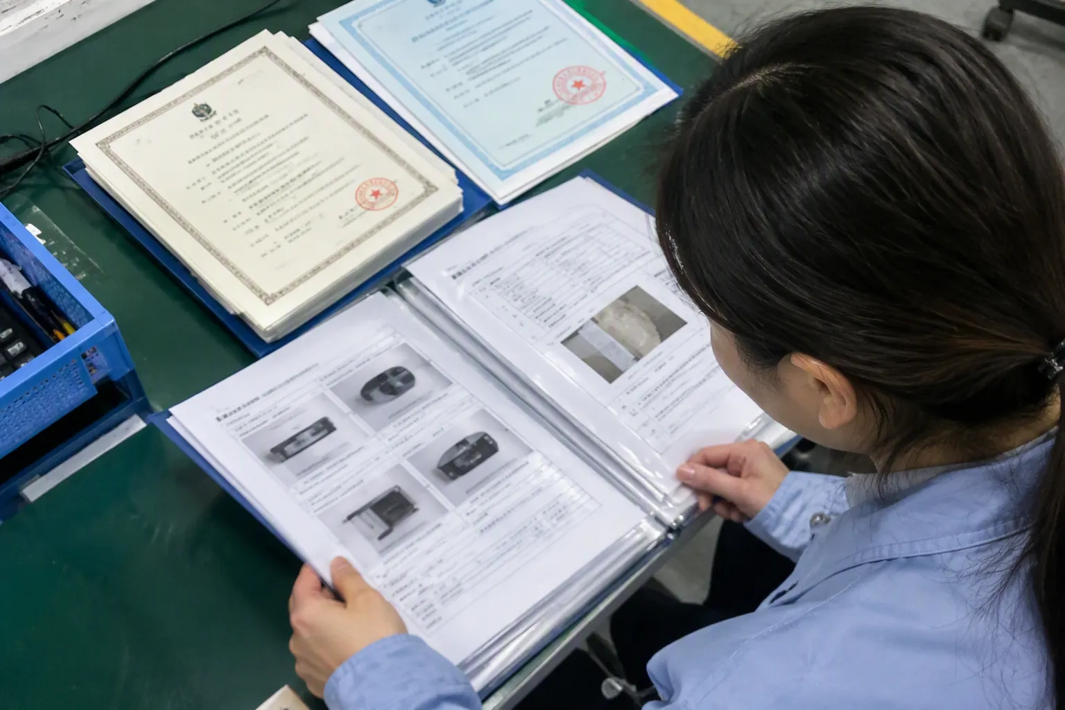 What Warning Signs Do I Record (from section: What Warning Signs Do I Record?) — What Warning Signs Do I Record?